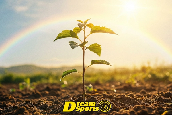 活動支援のイメージ